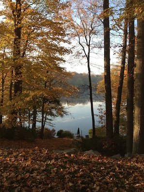 Lake view in the fall from the back deck.