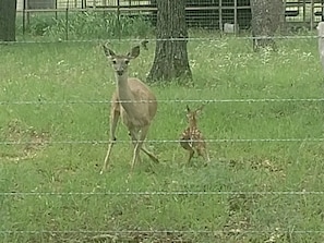 Welcoming Committee