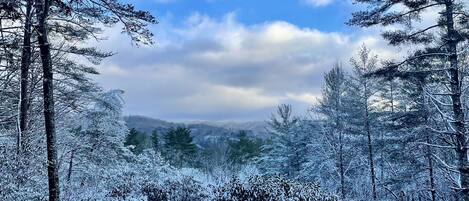 Snow covered Mountain View