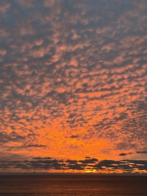 Sunrise View
Out Your Back Door