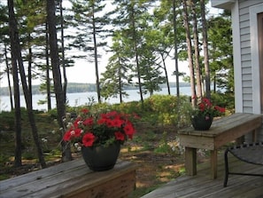 one view from deck