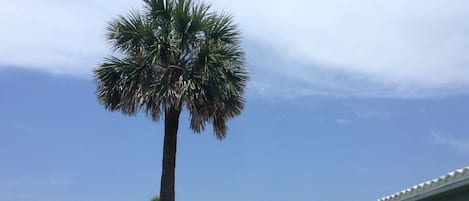 施設の敷地