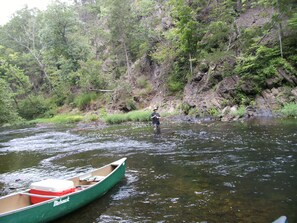 Fish for bluegill, bass, muskie and others in Craig Creek.