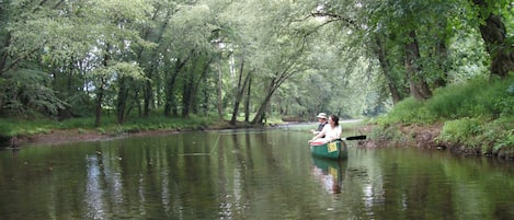 Canoeing at Cottage on Craig- very relaxing!