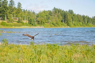 Open Design West Coast Home on 1600 Feet of Private Waterfront