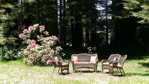 Amy's yard with flowering rhododendron.