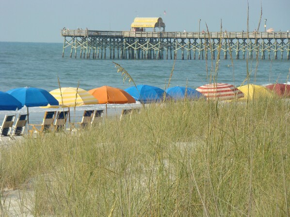 The beach at Kingston .... 5 minute walk form our condo