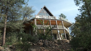 Forest view of Hodge Lodge