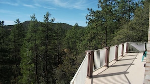 Tree top view from the deck