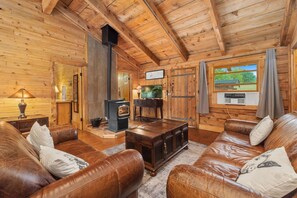 Living Room and Pellet Stove