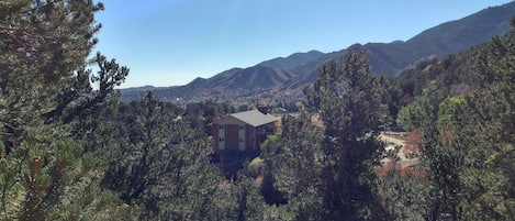 Nestled in the foothills of Manitou Springs, but downtown is just a walk away!