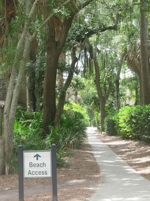 Shady paved Beach path across street from villa entrance - two minutes to beach.