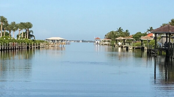 Out for a morning walk