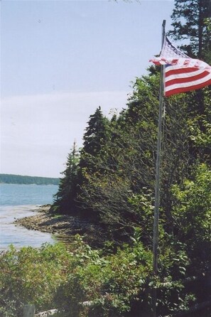 View SE along shore frontage showing bald eagle on treetop
