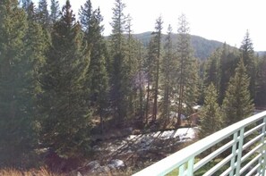 View of the river right off the back patio