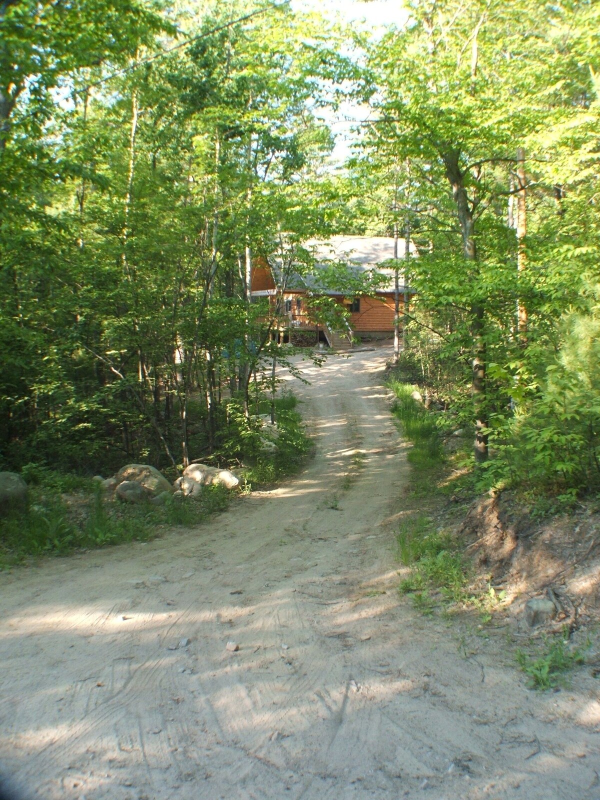 Main Image