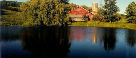 swimming pond