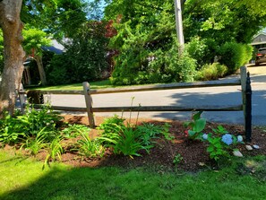 front yard