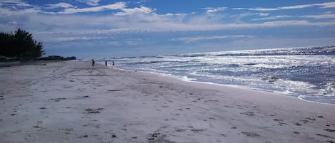 Gulf of Mexico on Longboat Key