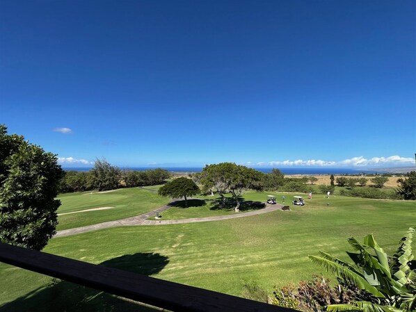 View from the lani