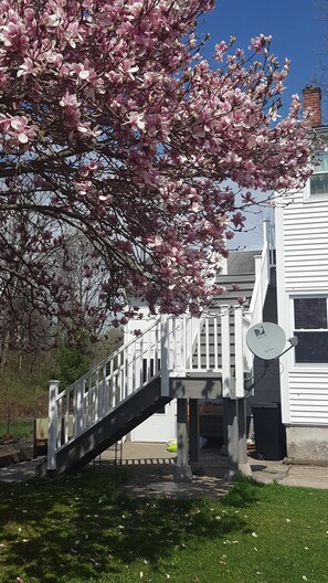 Stairs leading up to the apartment
