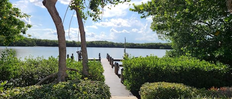 Dock @ Lemon Bay where you can fish, see dolphin & manatees, dock up to 17' boat