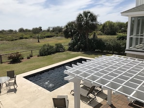 Pool and Back Yard