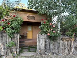 Roses in bloom today