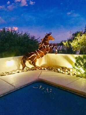 The horse poolside at sunset.