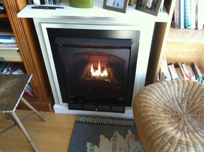 fire place and books.  Cozy living.