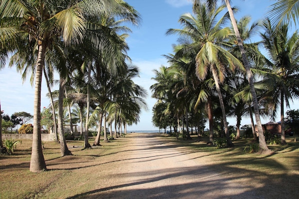 Terrenos do alojamento