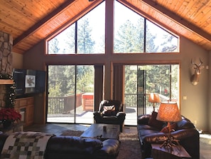 Chalet windows let in all the natural forest light 
