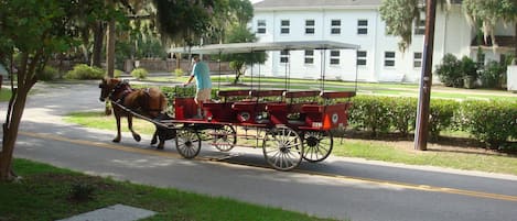 One of the horsedrawn carriages available for tours of Beaufort.  