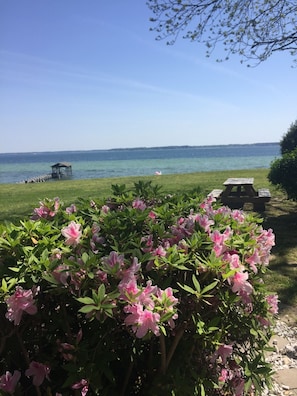 View from the outdoor shower. Large yard with picnic table