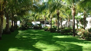 Large private yard is perfect for the kid's futbol game.