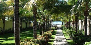 A scenic path leads to the house and the blue Pacific.