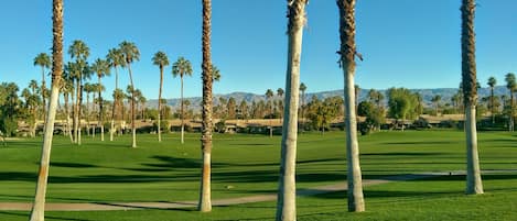 View from golf course patio