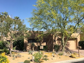 Beautiful desert landscaping