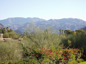 Santa Rosa Mountains