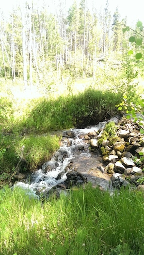 Stream right outside the back door