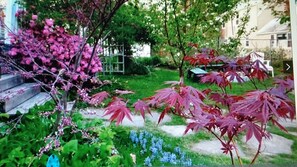 back yard gardens