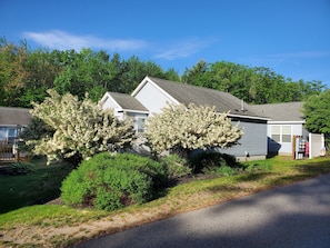 Full rear view of cottage