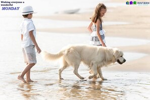 Pet-friendly