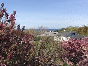 Boendeområde