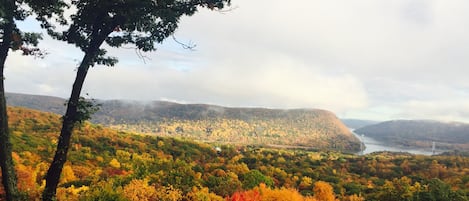 Autumn Foliage - Private Patio View 
