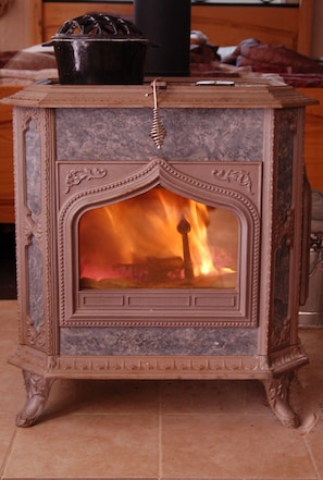 Beautiful soapstone wood stove with glass front will keep you toasty.