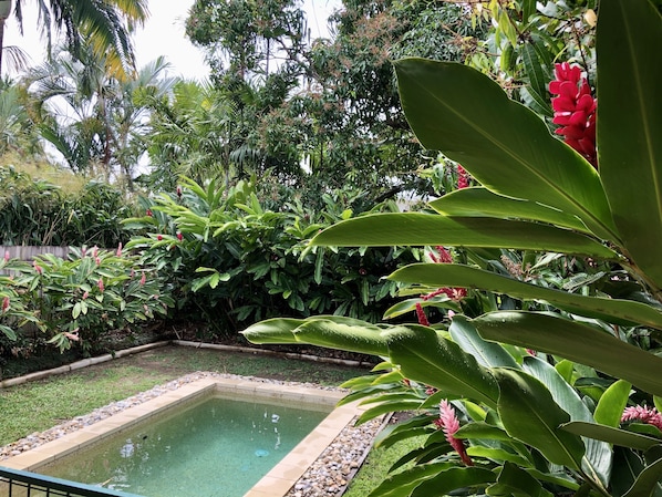 Very private plunge pool in a lush tropical garden 