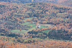 Late fall from the fire tower.