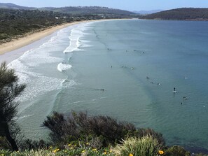 Park surf beach