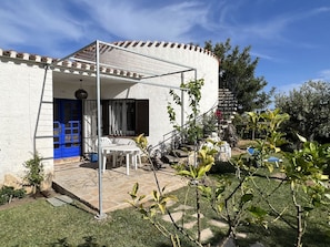 Plante, Nuage, Ciel, Bâtiment, Communauté Des Plantes, Fenêtre, Ombre, Lot Terre, Maison, Herbe